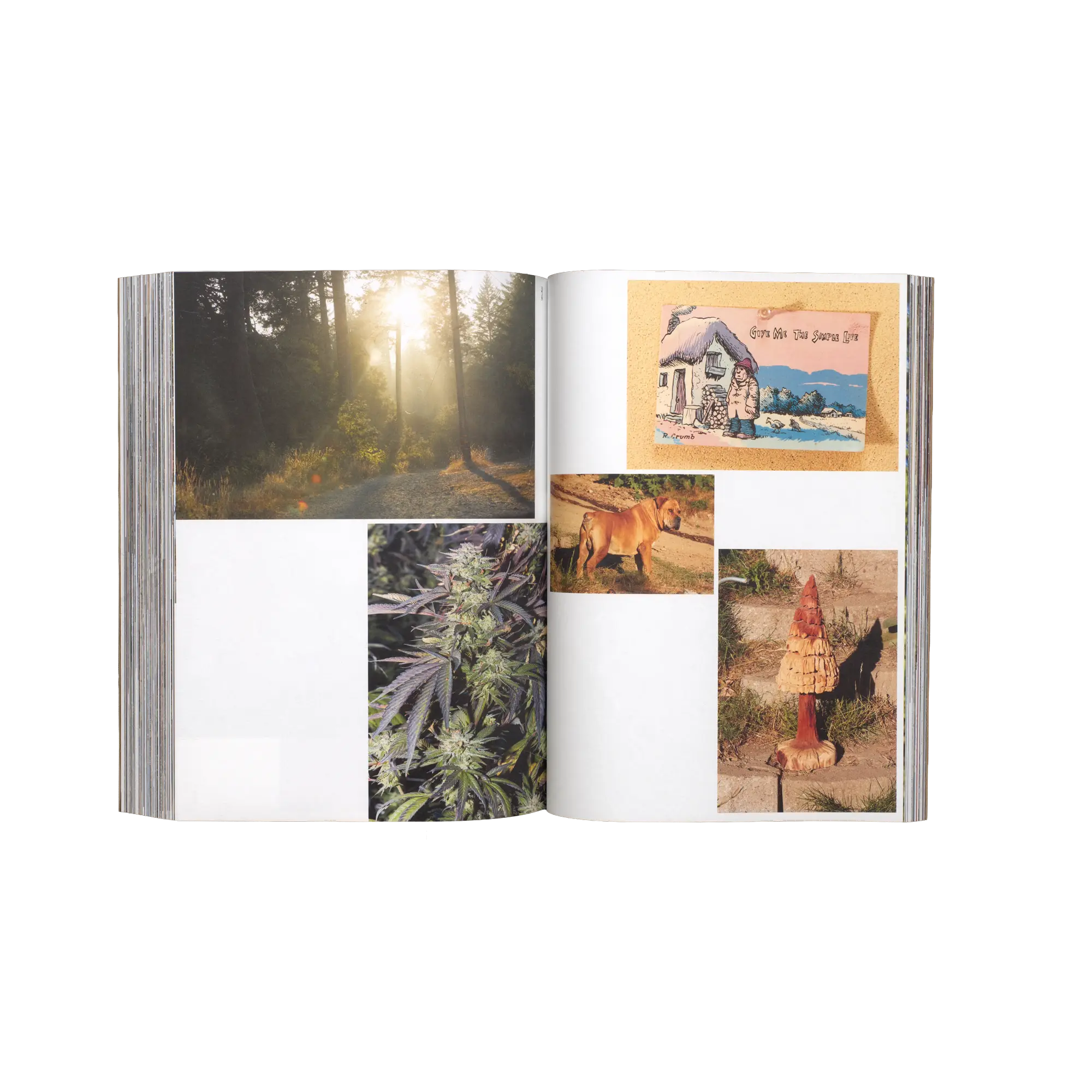 Handmade Utopia, 2026, Edition Patrick Frey, Softcover, 496 pages, 225 × 300 mm (Studio Teo Schifferli)