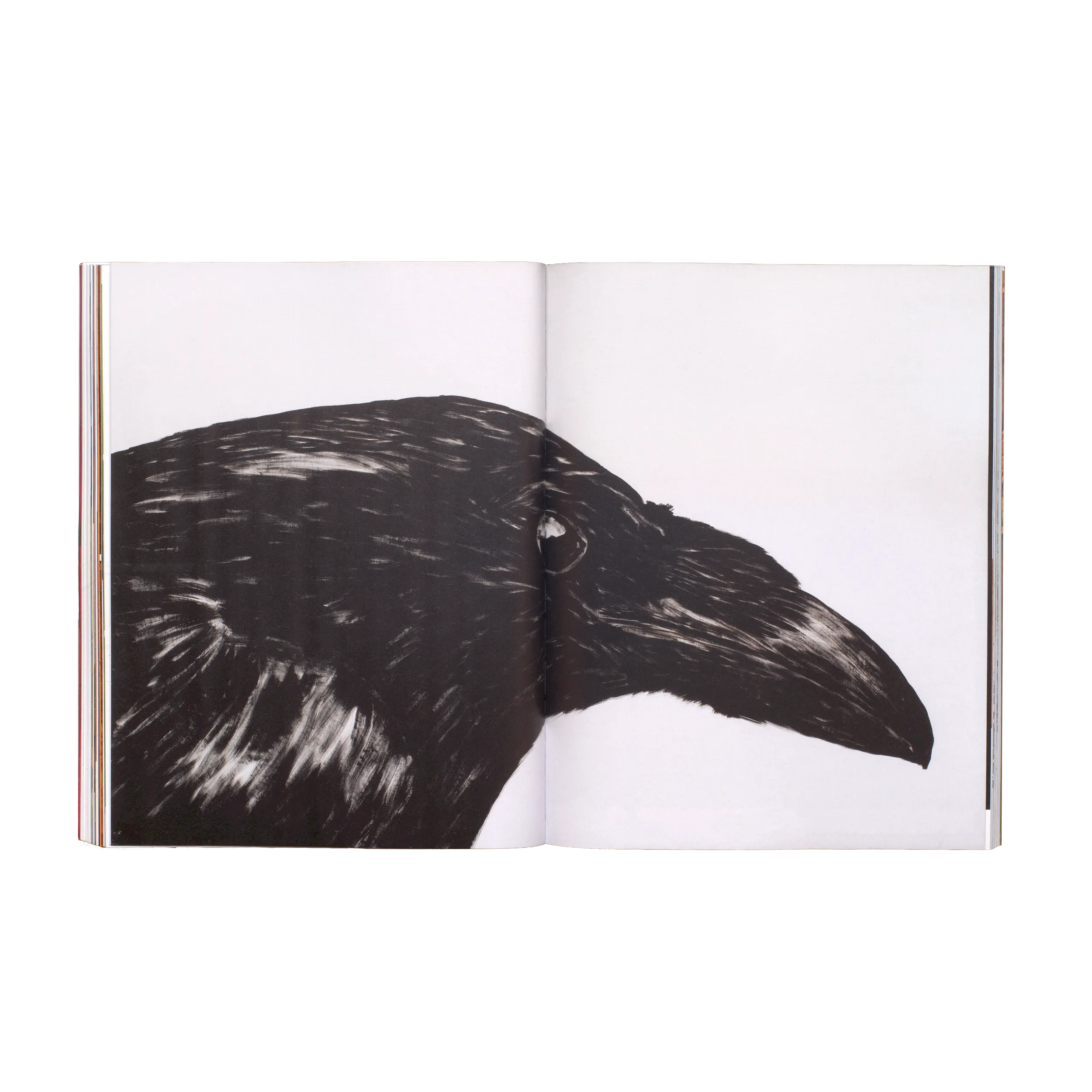 Anne Loch – Malerei, na und?, 2026, Zentrum Paul Klee, Mousse Publishing, Softcover, 232 pages, 210 × 270 mm (Studio Teo Schifferli)